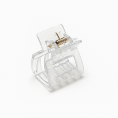 Iridescent Mini Claw Clip Set – Pack of 15